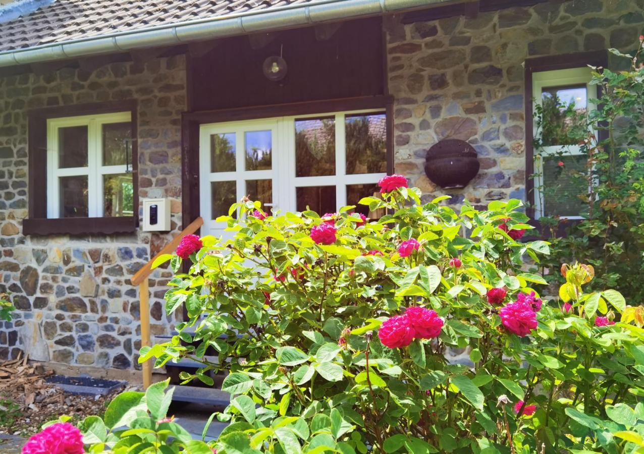 Ferienhaus Eifelrose ジンメラート エクステリア 写真