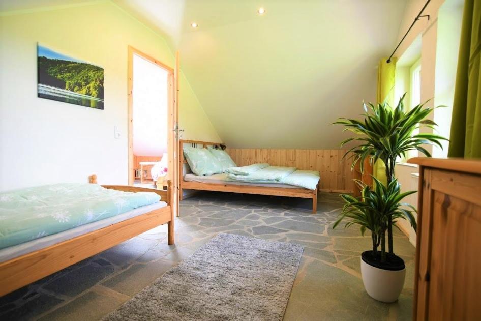 Ferienhaus Eifelrose ジンメラート エクステリア 写真