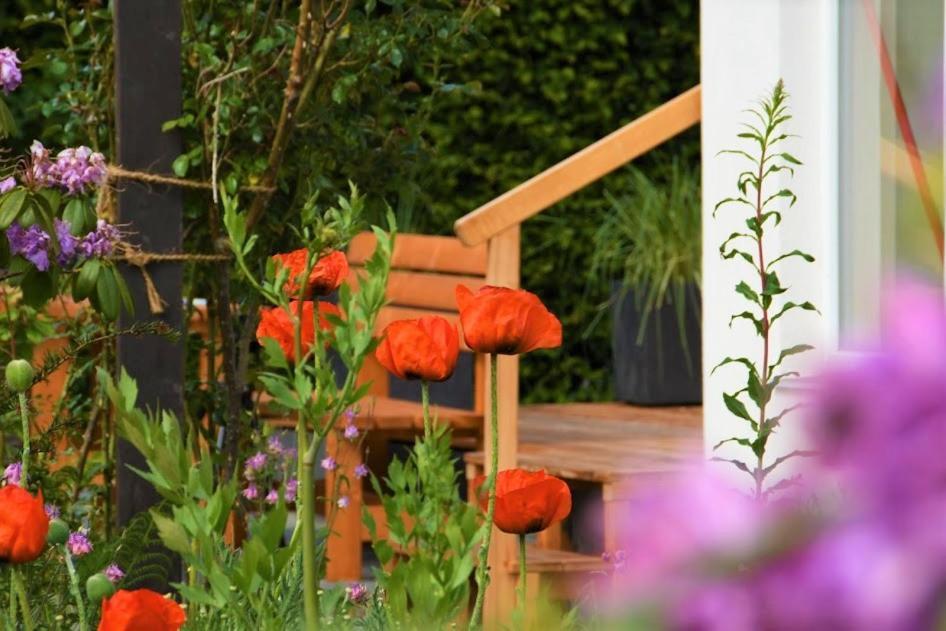 Ferienhaus Eifelrose ジンメラート エクステリア 写真