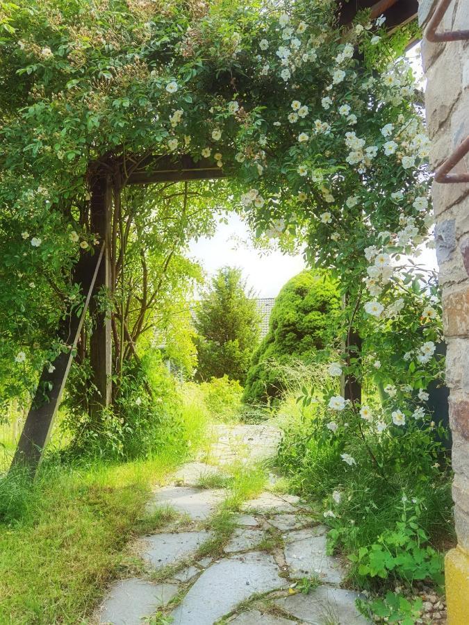 Ferienhaus Eifelrose ジンメラート エクステリア 写真