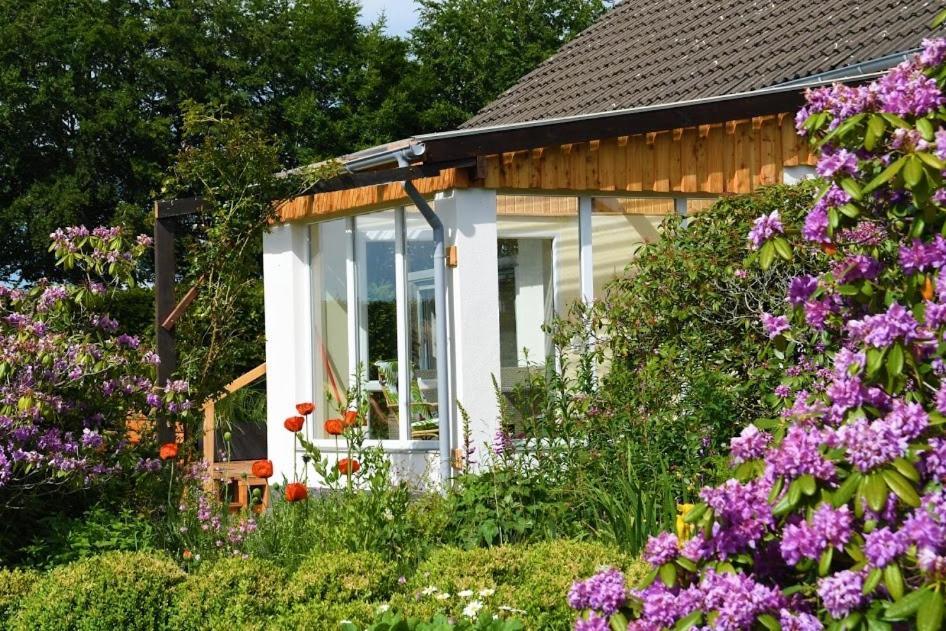 Ferienhaus Eifelrose ジンメラート エクステリア 写真