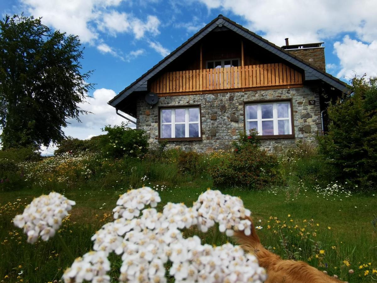 Ferienhaus Eifelrose ジンメラート エクステリア 写真