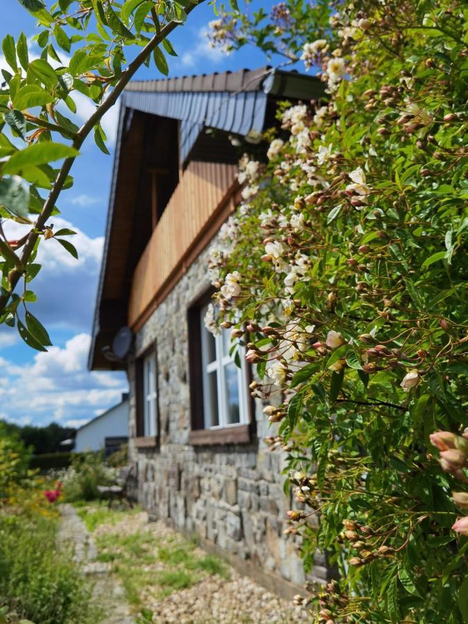 Ferienhaus Eifelrose ジンメラート エクステリア 写真